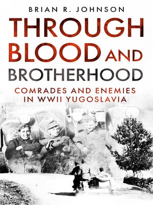 cover image of Through Blood and Brotherhood